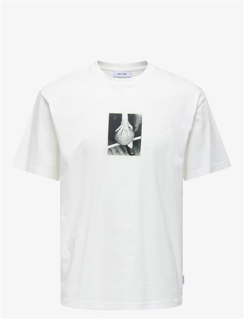 ONLY & SONS | Onsdash Rlx Ss Tee Vd | S