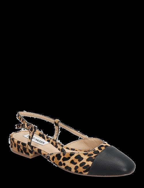 Steve Madden | Belinda-L Ballerina | 36