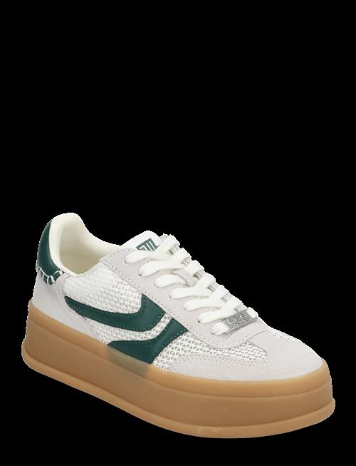 Steve Madden | Off-Track Sneakers | 39