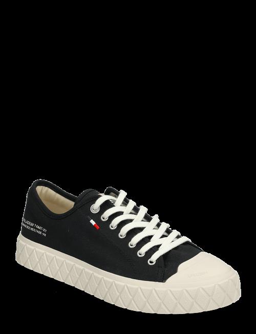 Palladium | Palla Ace Cvs Org | 36