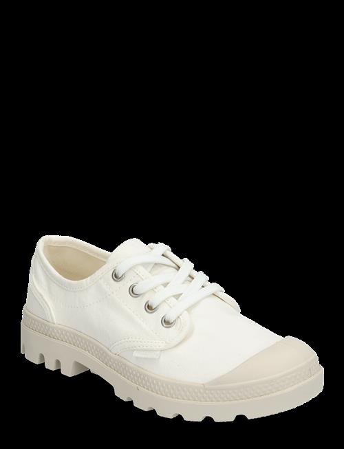 Palladium | Pampa Oxford | 38