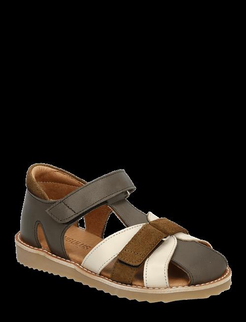 ANGULUS | Sandals - Flat  - Closed Toe | 29
