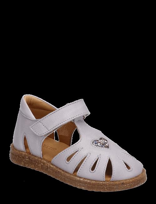 ANGULUS | Sandals - Flat  - Closed Toe | 21