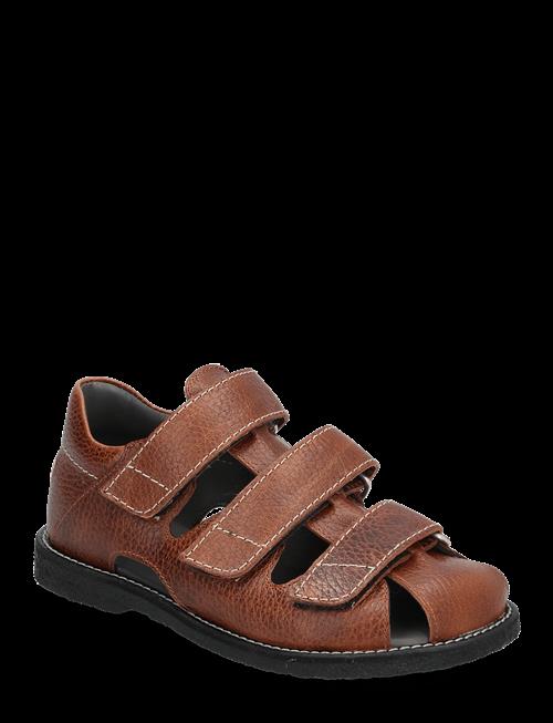 ANGULUS | Sandals - Flat  - Closed Toe | 32