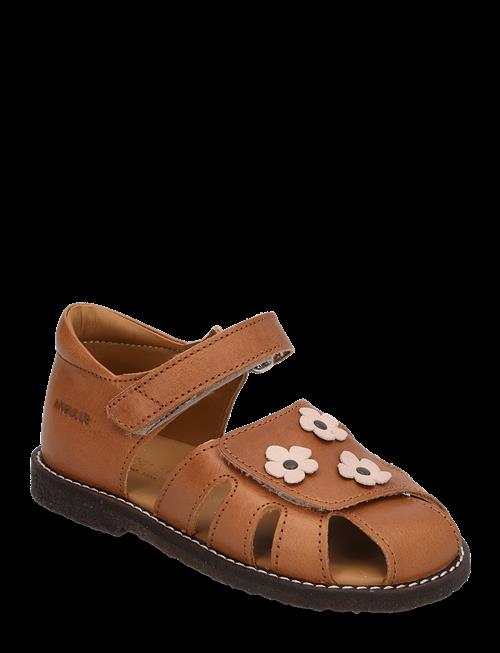 ANGULUS | Sandals - Flat  - Closed Toe | 22