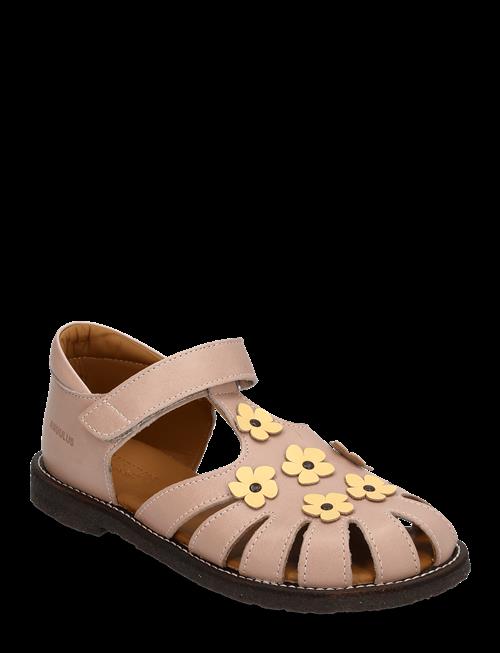 ANGULUS | Sandals - Flat  - Closed Toe | 27