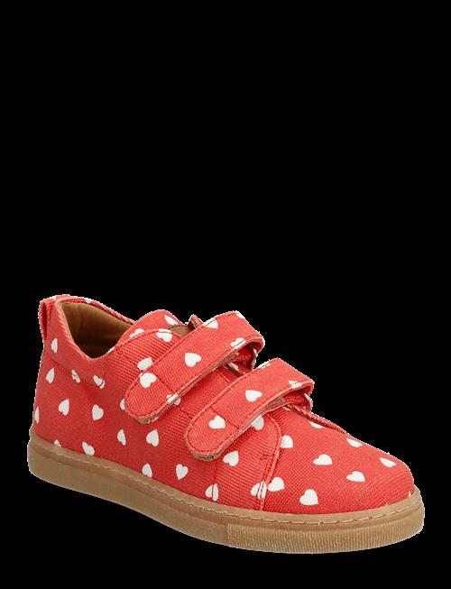 ANGULUS | Shoes - Flat - With Velcro | 26