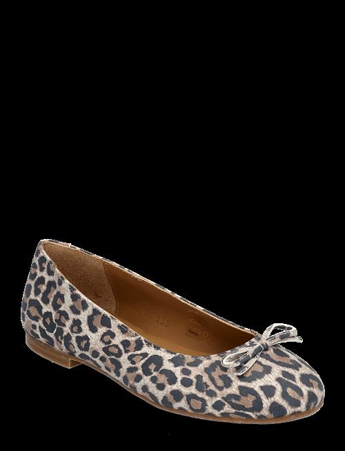 ANGULUS | Ballerina | 35