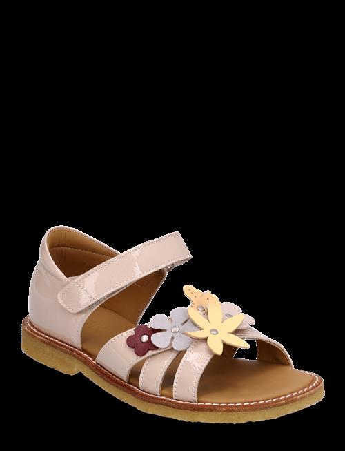 ANGULUS | Sandals - Flat  - Open Toe - Clo | 26