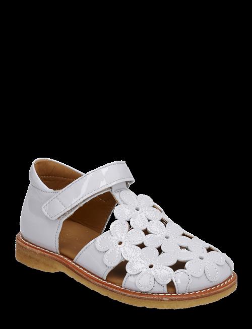 ANGULUS | Sandals - Flat | 26