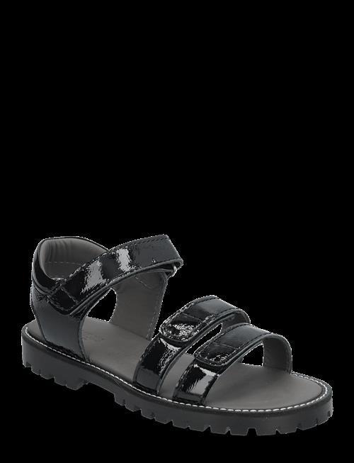 ANGULUS | Sandals - Flat  - Open Toe - Op | 36