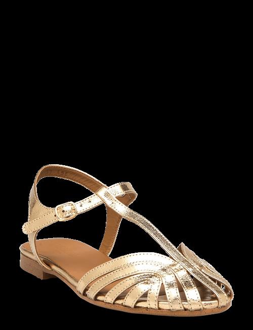 ANGULUS | Sandals - Flat | 39
