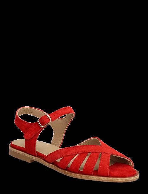 ANGULUS | Sandals - Flat  - Open Toe - Op | 39