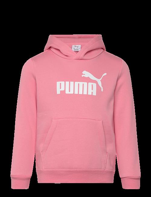 PUMA | Ess No. 1 Logo Hoodie Fl Ps | 104