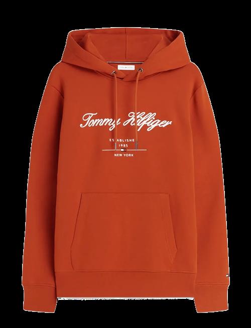 Tommy Hilfiger | Script Logo Hoody | M