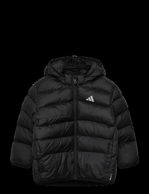 adidas Sportswear | I Sd Jkt | 98
