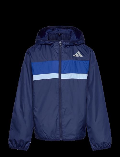adidas Sportswear | J Tiberio Wb | 140