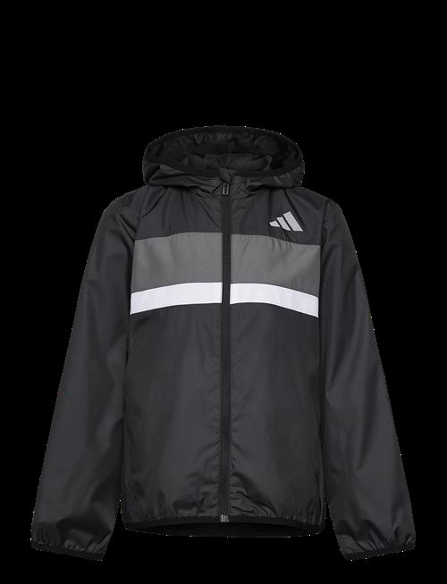 adidas Sportswear | J Tiberio Wb | 140