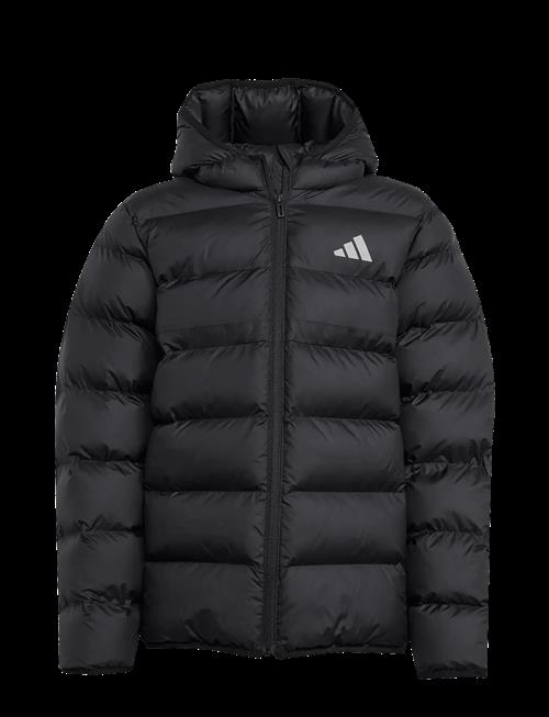adidas Sportswear | J Sd Jkt | 164