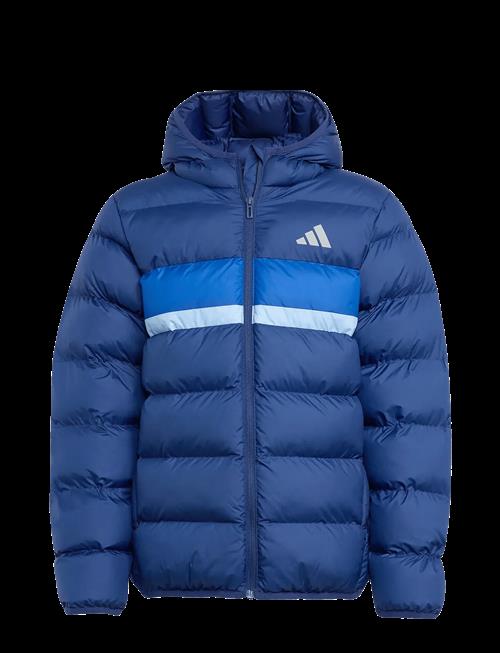 adidas Sportswear | J Sd Jkt | 152