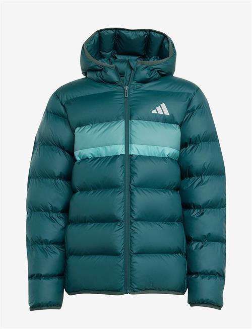 adidas Sportswear | J Sd Jkt | 164