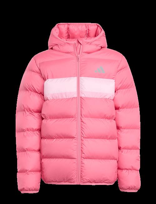 adidas Sportswear | J Sd Jkt | 176