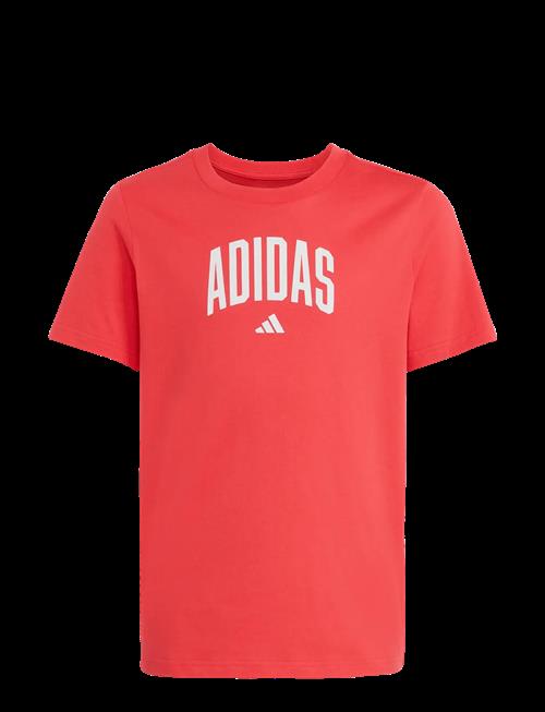 adidas Sportswear | J Colleg T | 152