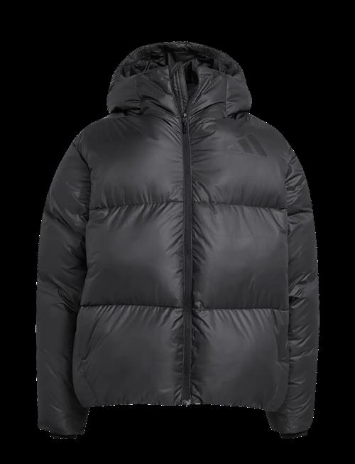 adidas Sportswear | J Z.n.e. Jkt | 152