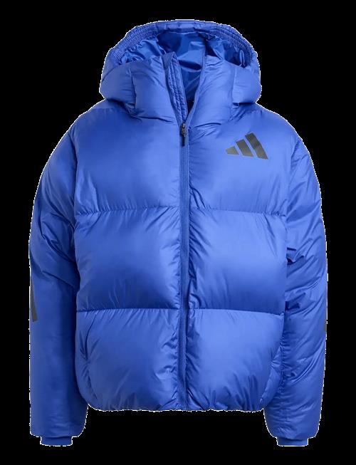 adidas Sportswear | J Z.n.e. Jkt | 152