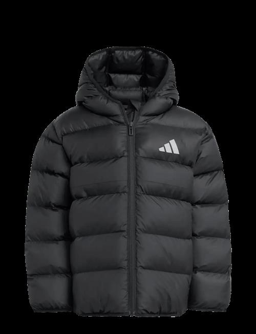 adidas Sportswear | Lk Sd Jkt | 116