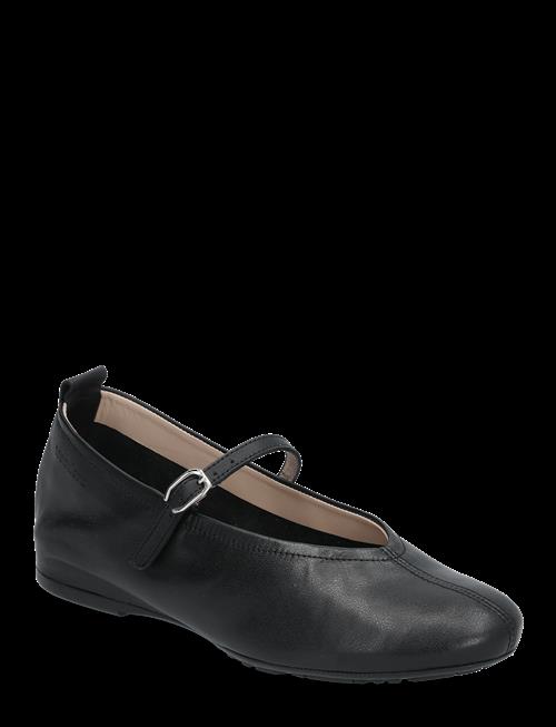 Wonders | Gracia | 37