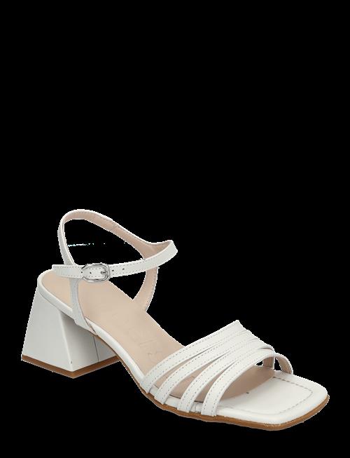 Wonders | Marcia | 41