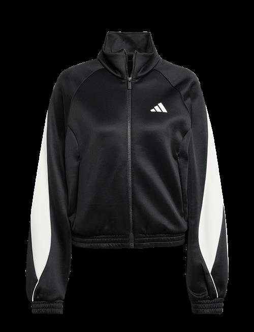 adidas Sportswear | W Stadium Tt | XL