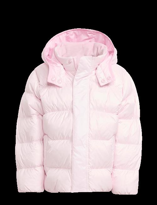 adidas Originals | Down Jacket | 122