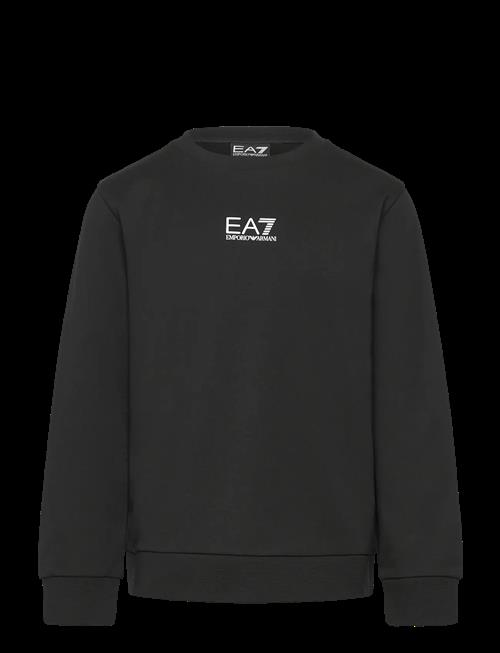 EA7 | Sweatshirt | 116