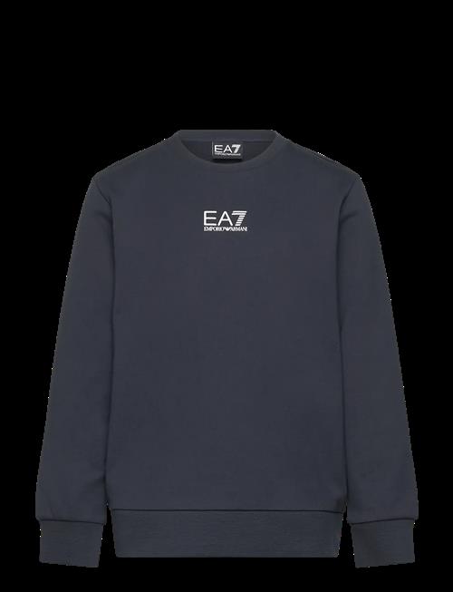 EA7 | Sweatshirt | 116