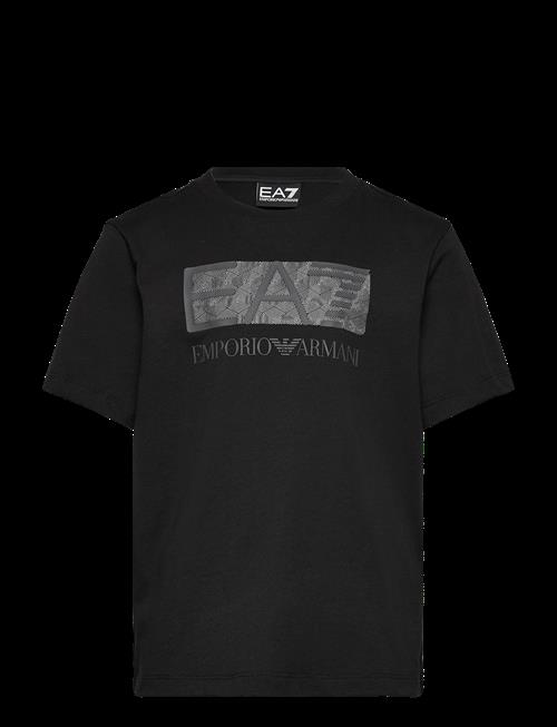 EA7 | T-Shirt | 104