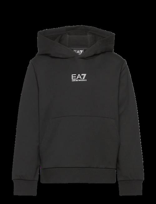 EA7 | Sweatshirt | 104