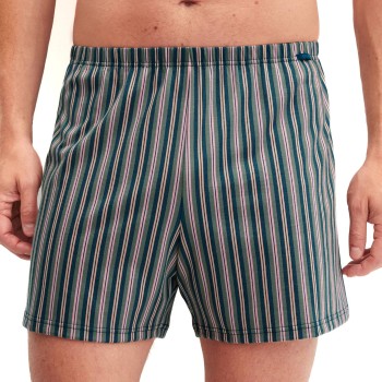 Calida Prints Cotton Boxer Shorts Lyseviolet bomuld Medium Herre
