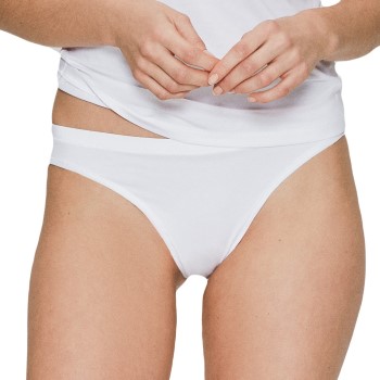 JBS of Denmark Trusser Organic Cotton Tai Brief Hvid økologisk bomuld Small Dame