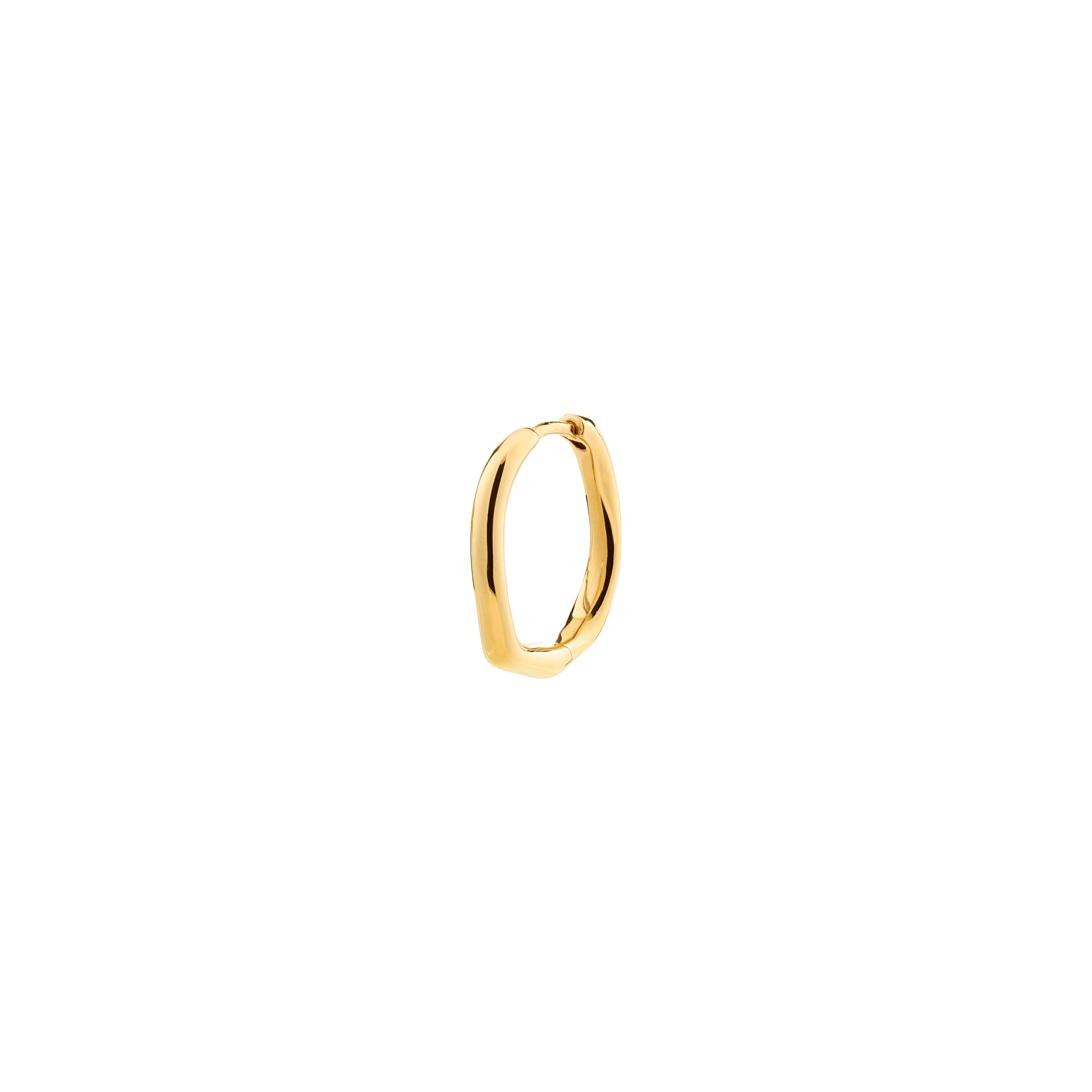Pilgrim xDEA PAVE HOOP 02