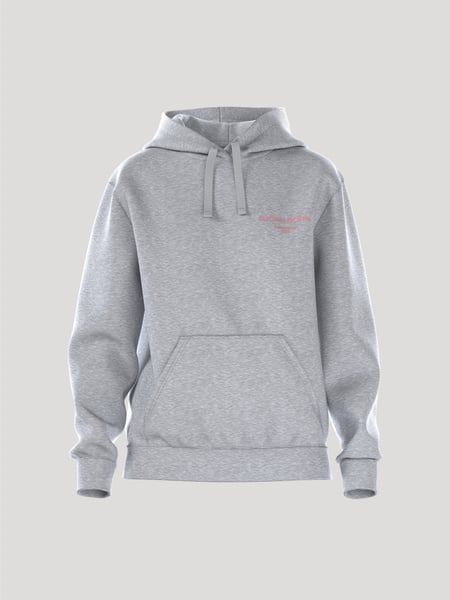 Björn Borg Borg Essential 1 Hoodie Grå, XS