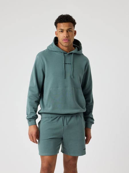 Björn Borg Borg Classic Hoodie Grøn, L