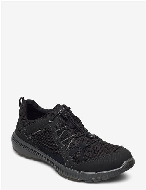 ECCO | Terracruise Ii M | 41