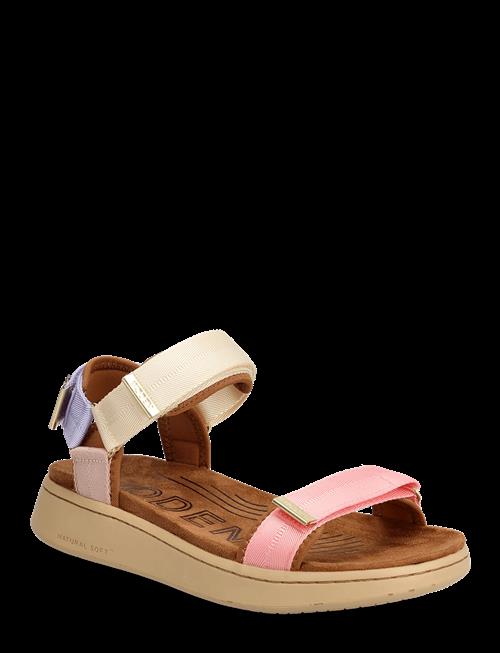 WODEN | Line | 37