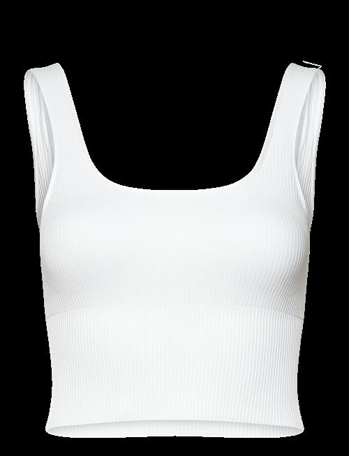aim´n | Ribbed Seamless Shaping Bralette | L