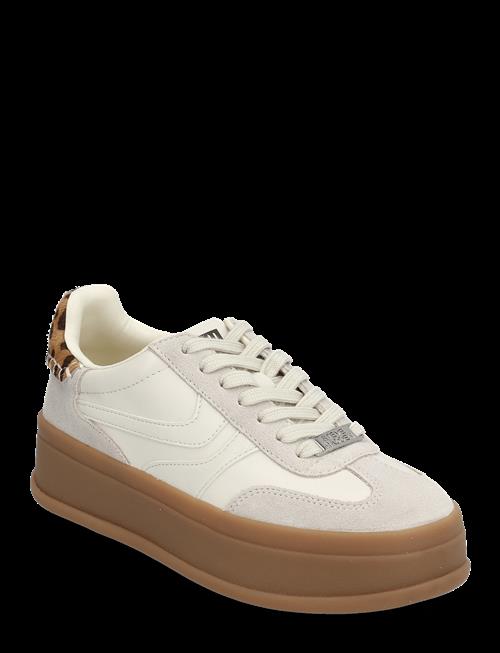 Steve Madden | Off-Track | 39