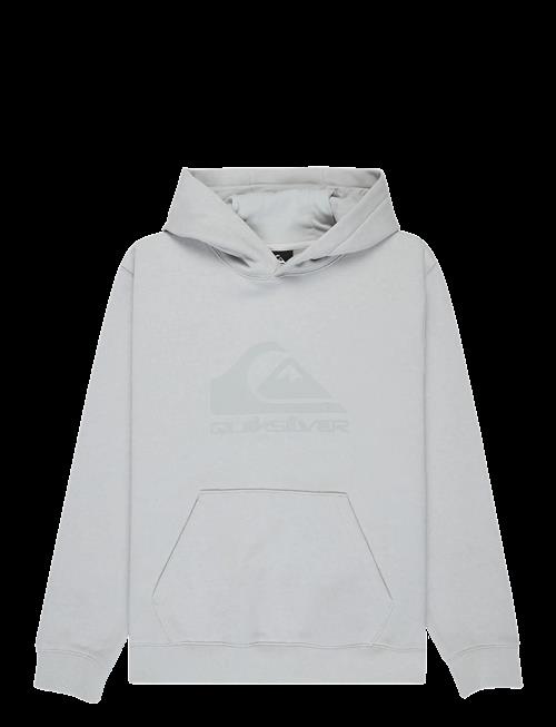 Quiksilver | Comp Logo Hoodie Youth | 128