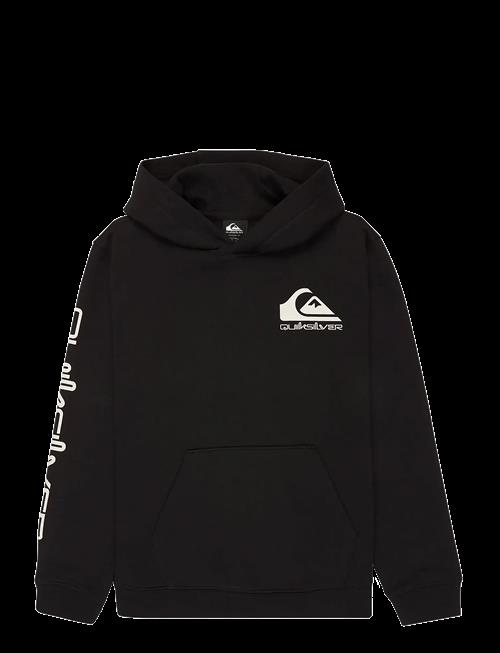 Quiksilver | Omni Logo Hoodie Youth | 16