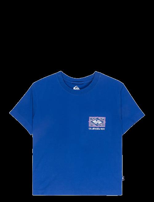 Quiksilver | Standard Ss Tee | M
